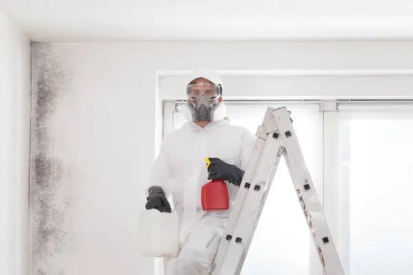 Henrico Mold Remediation Service Offering Thorough Inspection and Cleanup