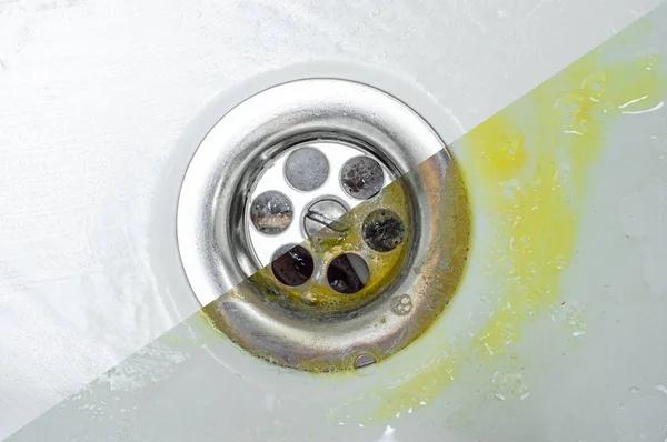 Licensed Drain Cleaning Near Me for Homes and Businesses