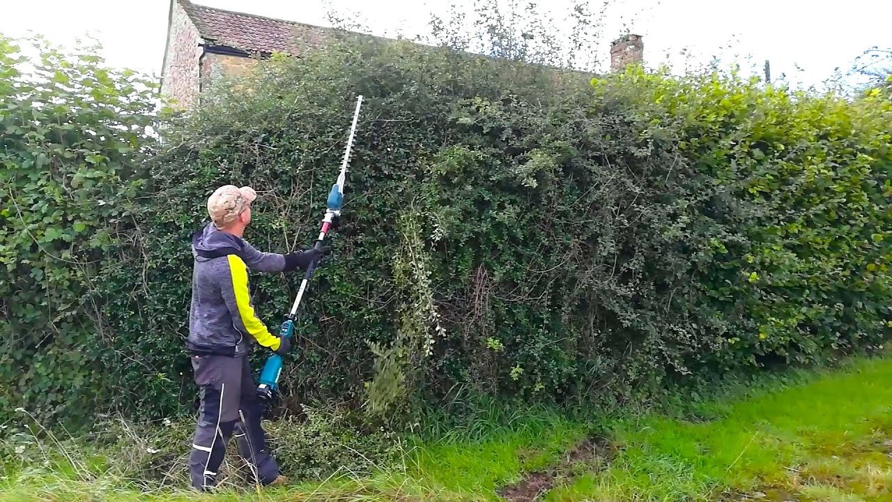 Complete Arborist Services from Heald green tree surgeon Specialists