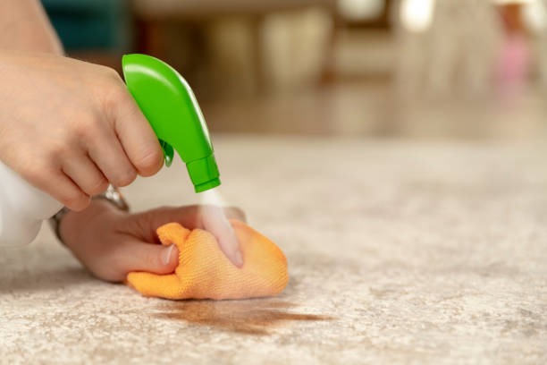 Start Fresh with Rug Cleaning Phoenix Services