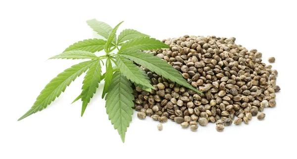 Tips for Finding Reliable Hemp Products Online