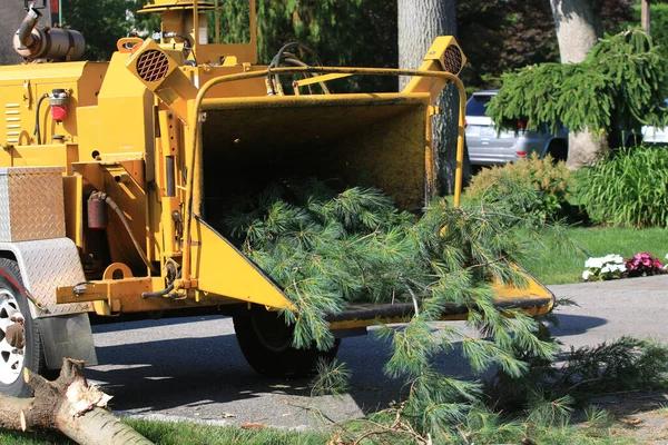Professional Property Management With tree cutting service